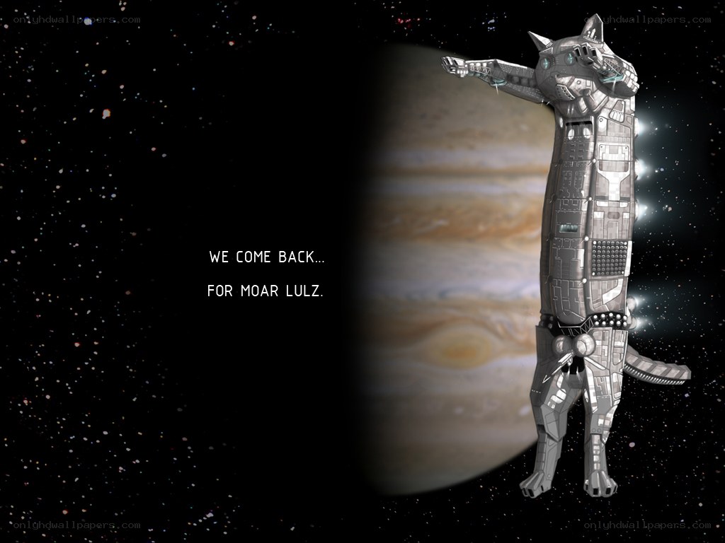 cat robot in space