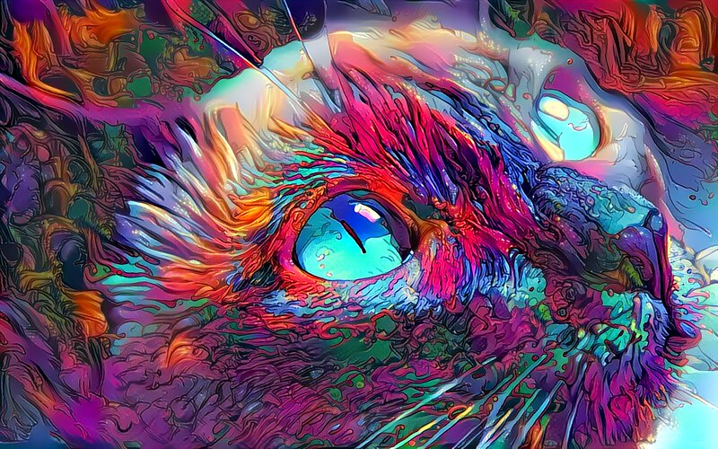 Cat's Eye Close-up — Blue
