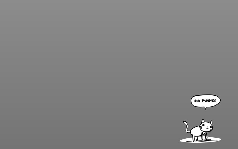 cat says and forever