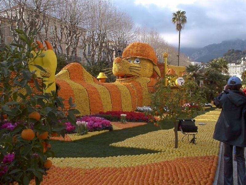 Cat Sculpture Made of Fruit