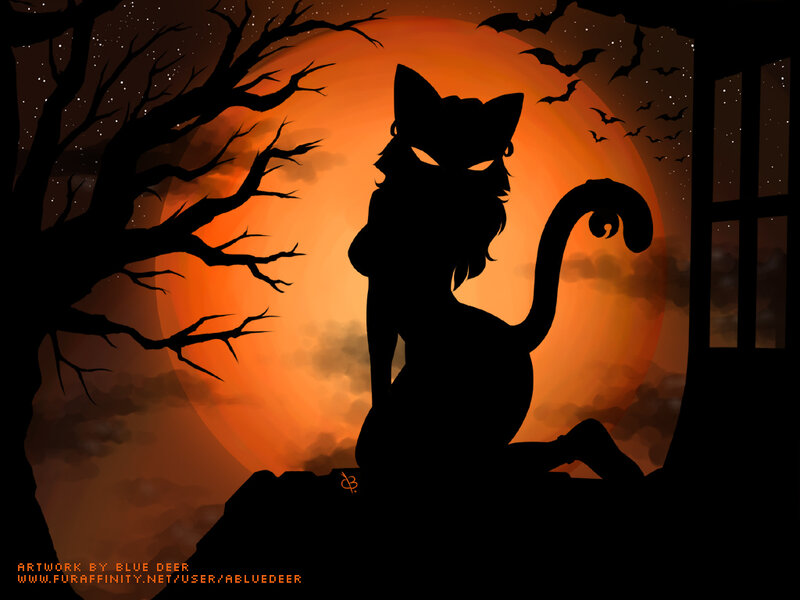 cat silhouette at night