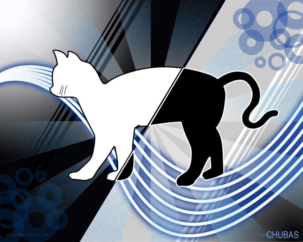 cat silhouette on abstract background