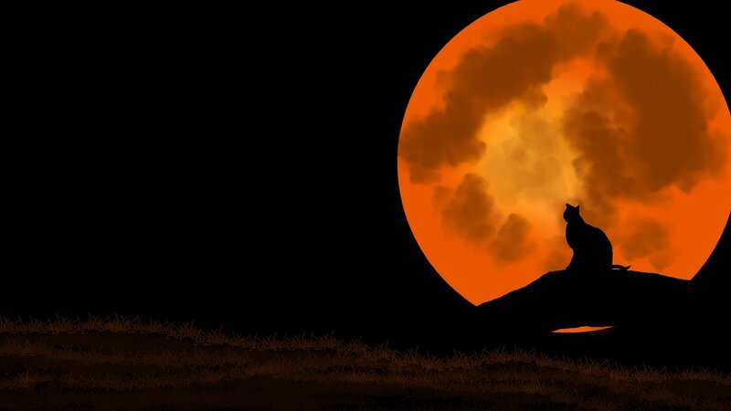 Cat Silhouette on Hill — Orange