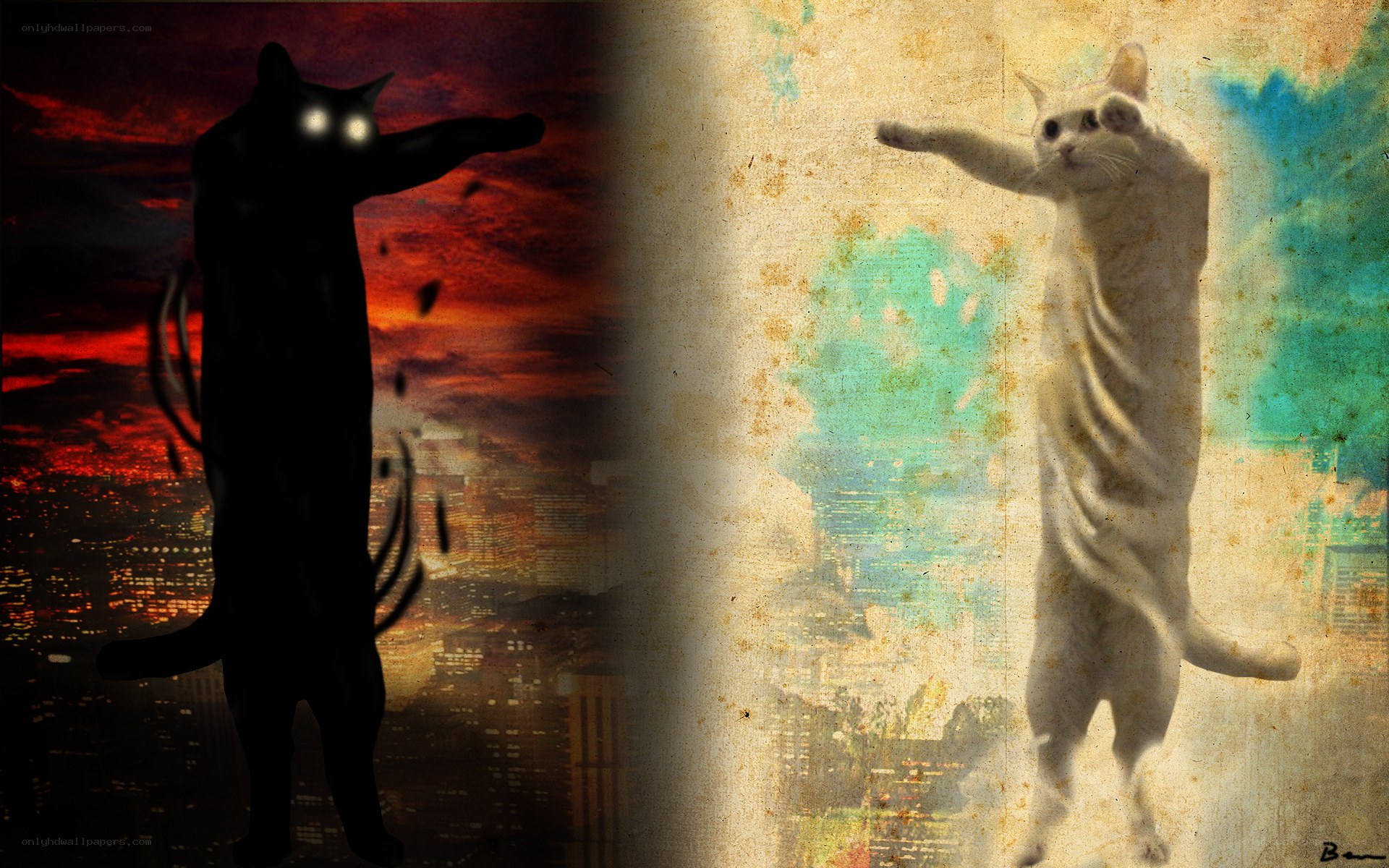 Cat silhouettes on cityscape