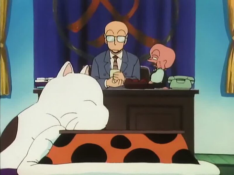 cat sleeping at desk