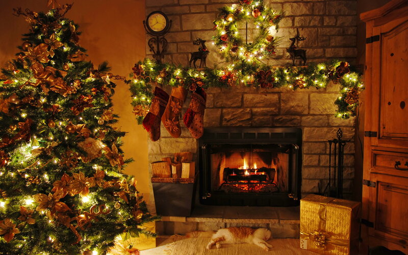 Cat Sleeping by Fireplace — Green, Cozy, Night