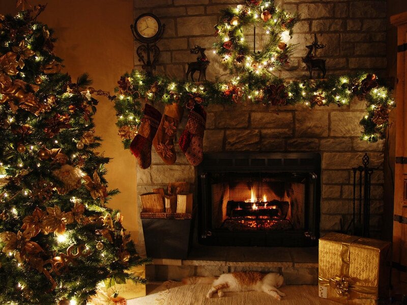 Cat Sleeping by Fireplace — Green, Cozy