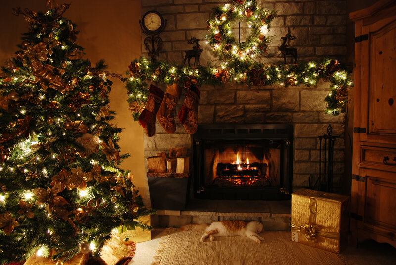 Cat Sleeping by Fireplace — Green
