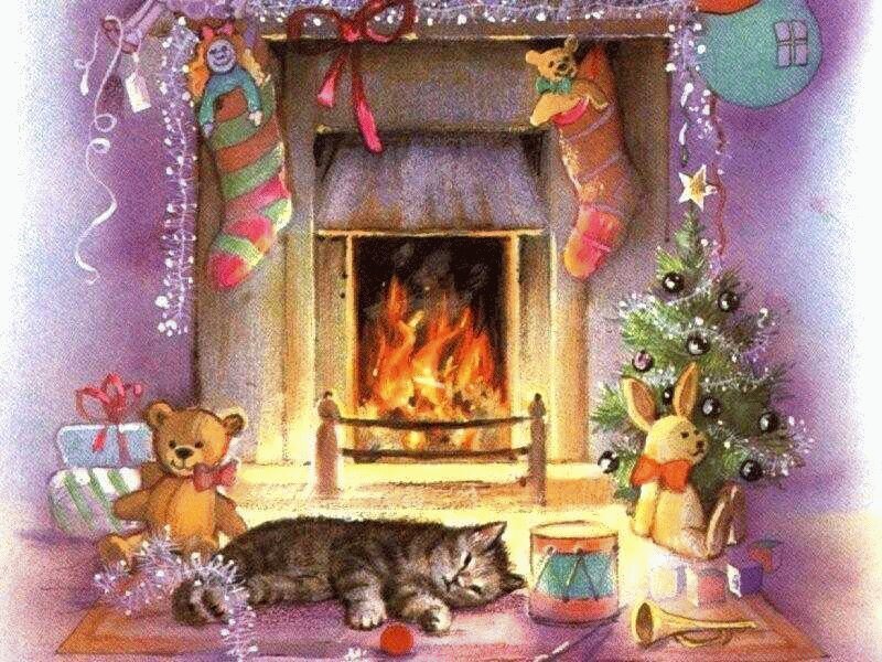 Cat Sleeping by Fireplace