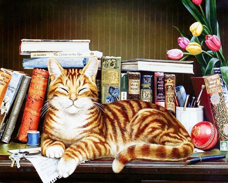Cat sleeping on a bookshelf