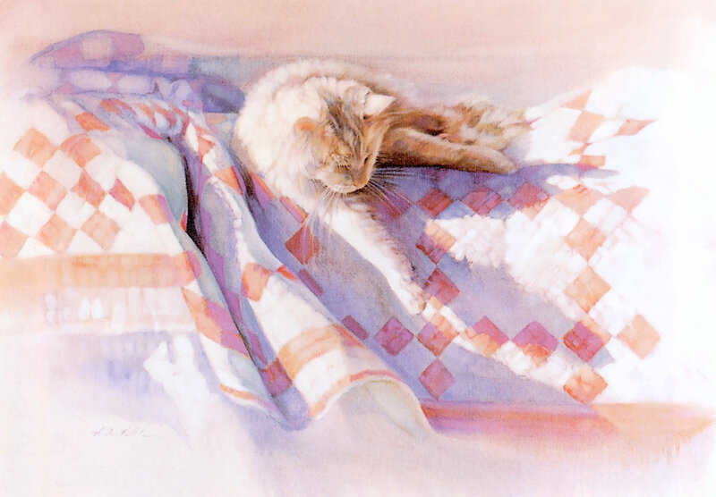 Cat sleeping on a quilt