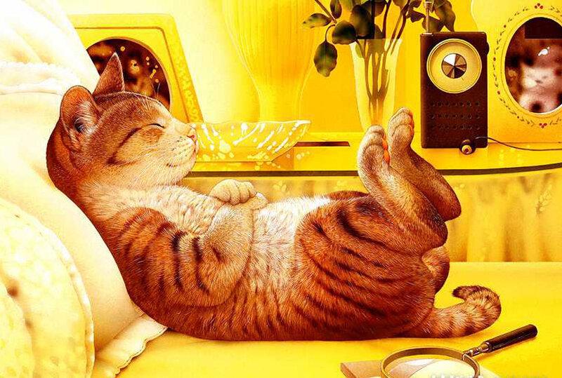 Cat sleeping on a yellow couch