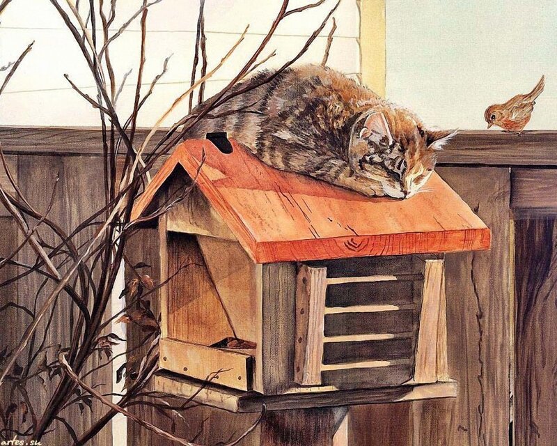Cat Sleeping on Birdhouse — Brown