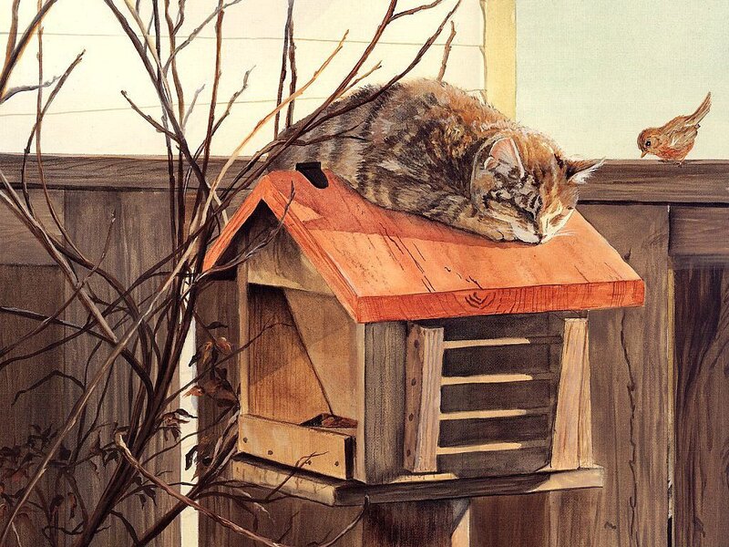 Cat Sleeping on Birdhouse