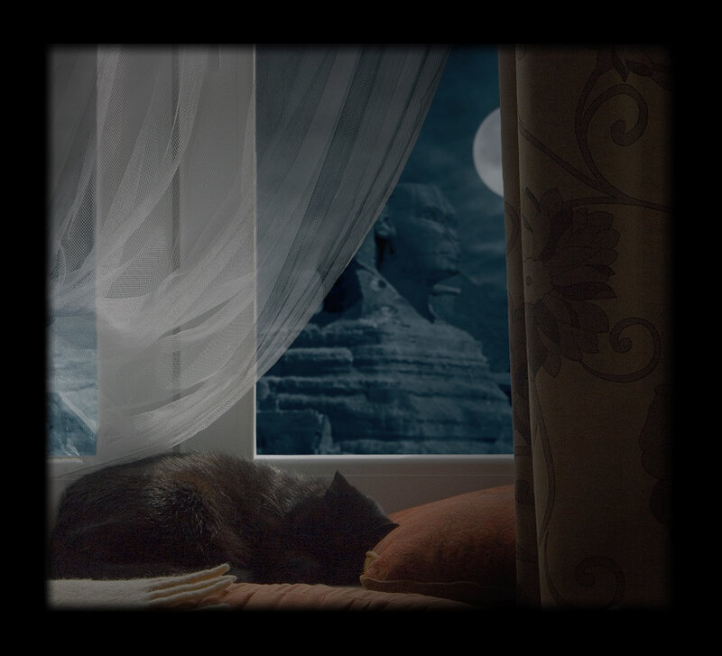 Cat Sleeping on Windowsill — Black