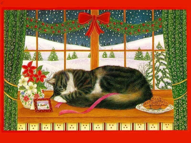 Cat Sleeping on Windowsill — Red