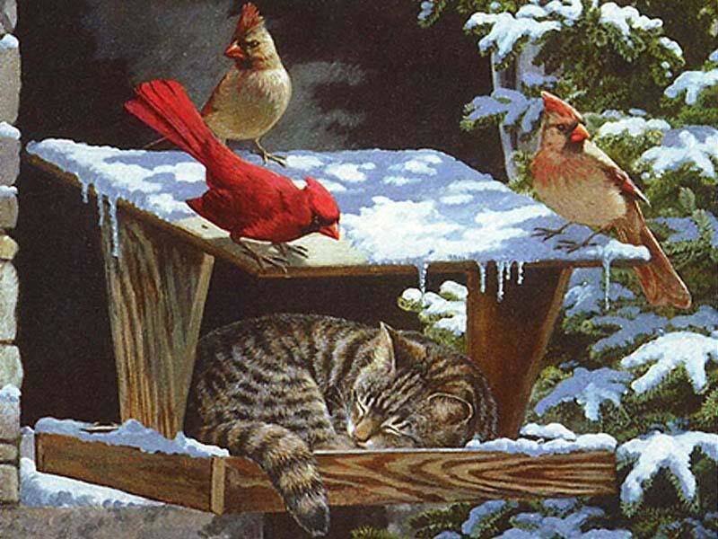 Cat Sleeping under Bird Feeder