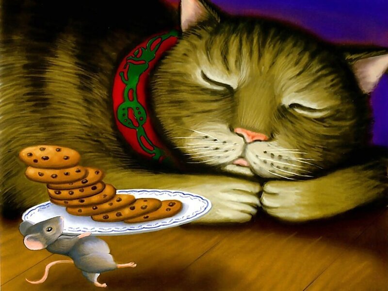 Cat sleeping with cookies