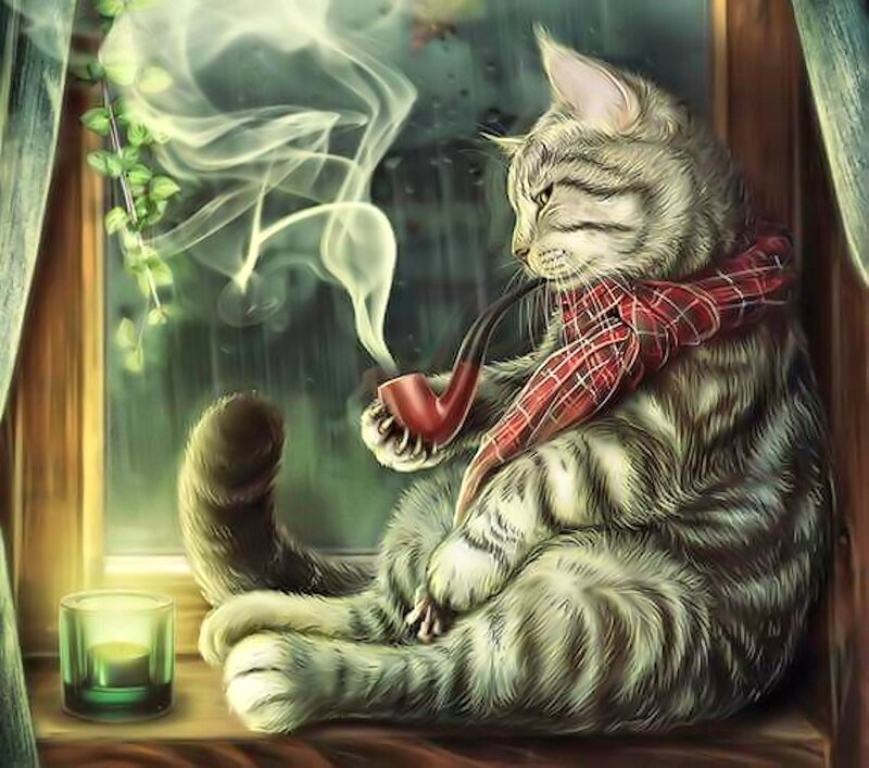 Cat Smoking Pipe