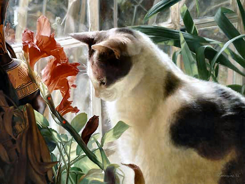Cat Sniffing Flower