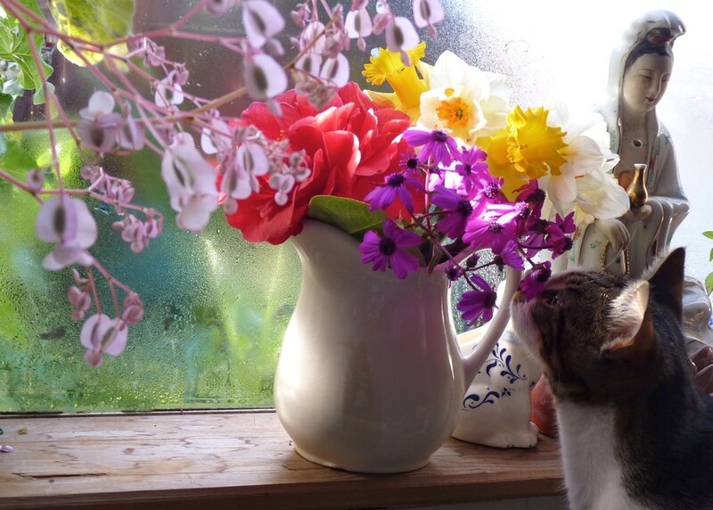 Cat Sniffing Flowers — White
