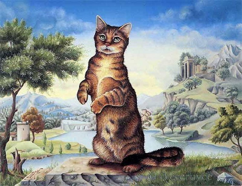 Cat Standing on Hind Legs — Brown