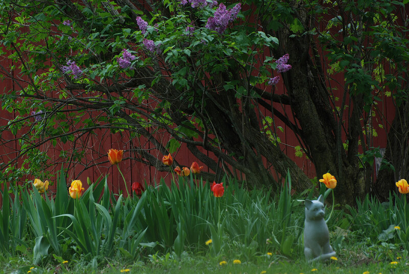Cat Statue in Garden
