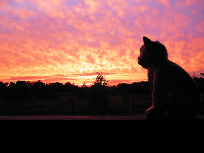 Cat Statue Silhouette