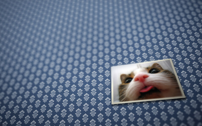 Cat Sticking Out Tongue — Blue