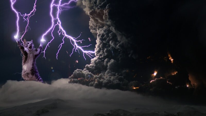 Cat Summoning Lightning — Purple