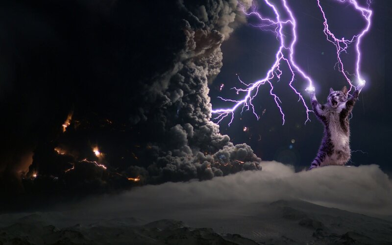 cat summoning lightning storm