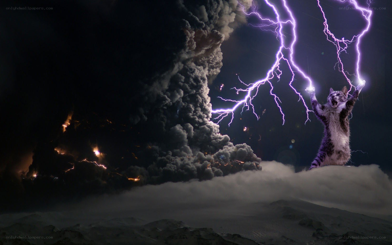 cat summoning lightning storm