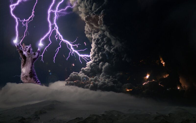 cat summoning lightning