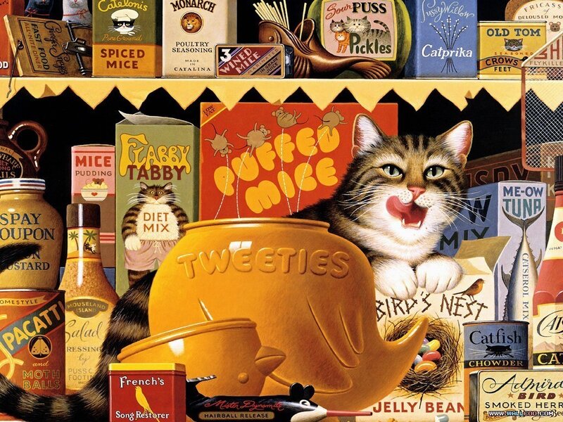 Cat surrounded by cat food