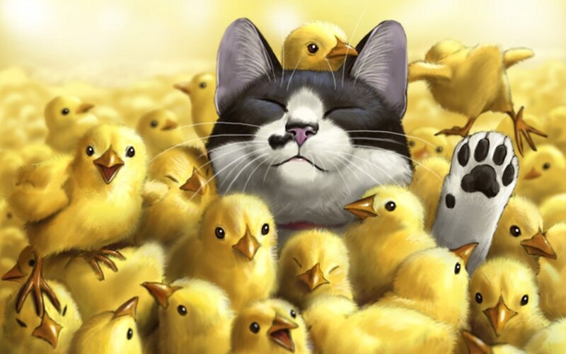 Cat Surrounded by Chicks — Yellow