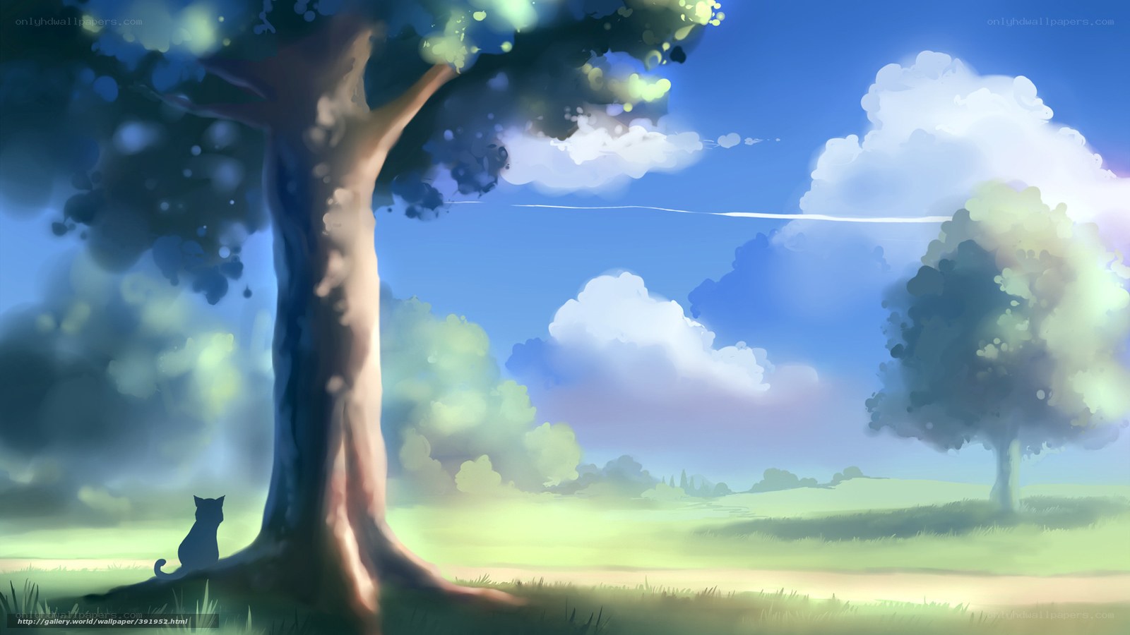 Cat under a tree in a sunny field