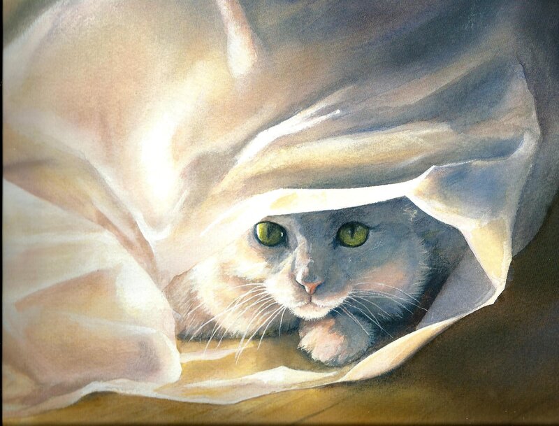 Cat under Blanket — Gray