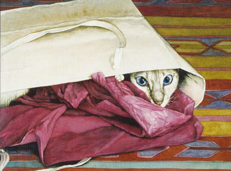 Cat under Blanket — White, Curious