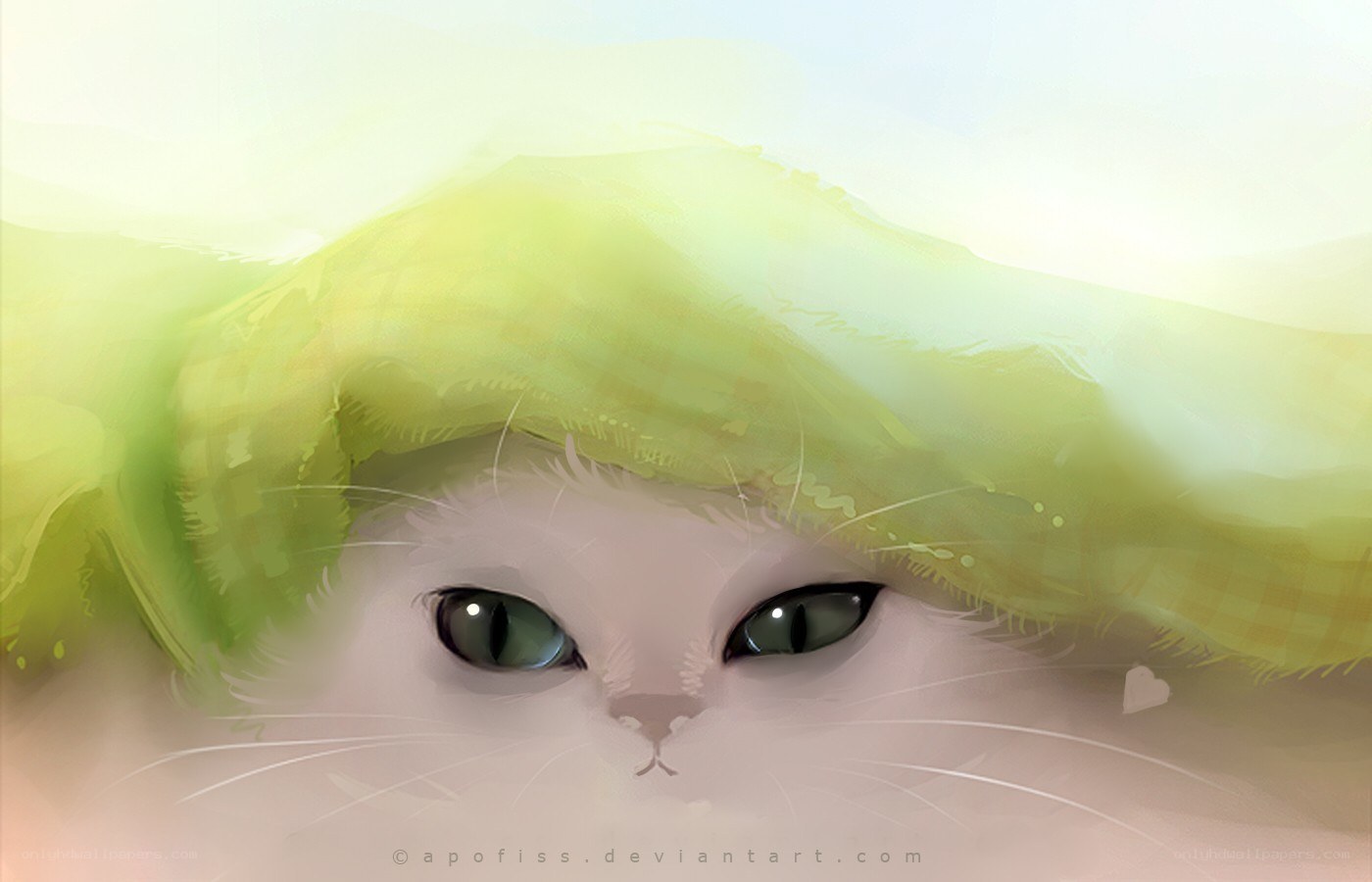 cat under green blanket