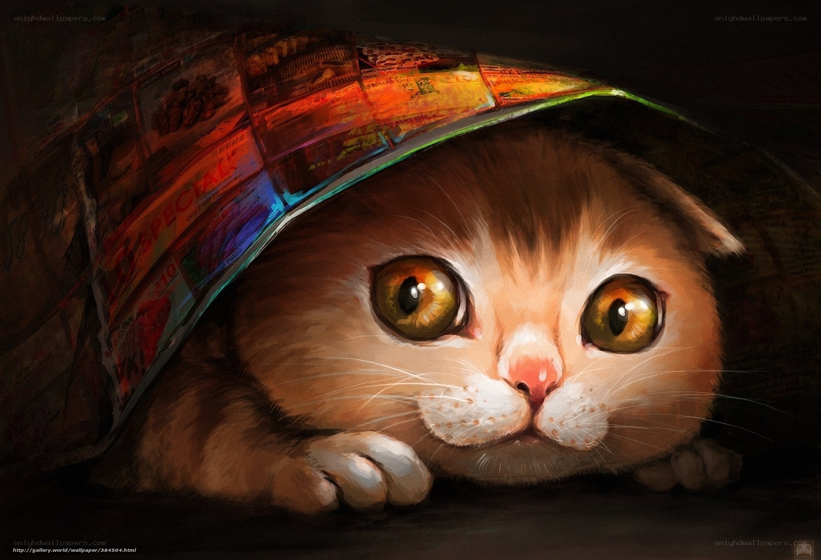 cat under newspaper blanket
