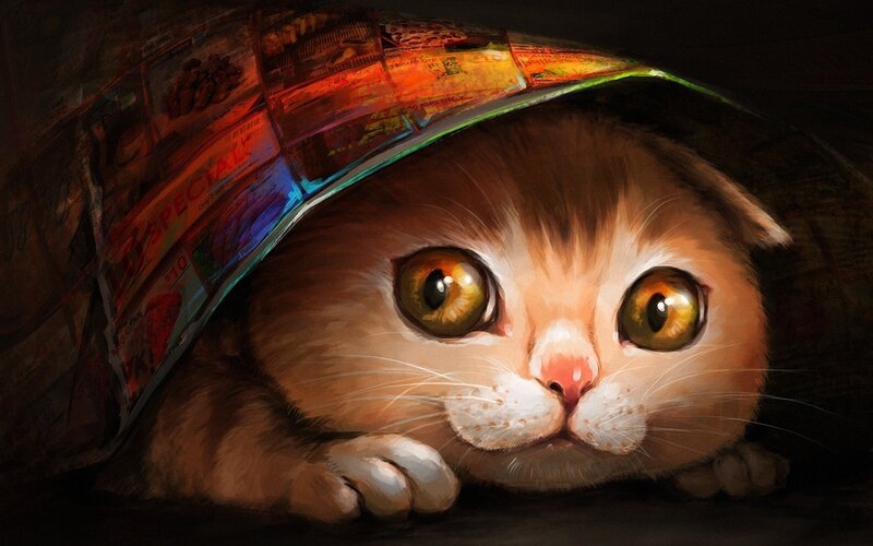 cat under newspaper cover