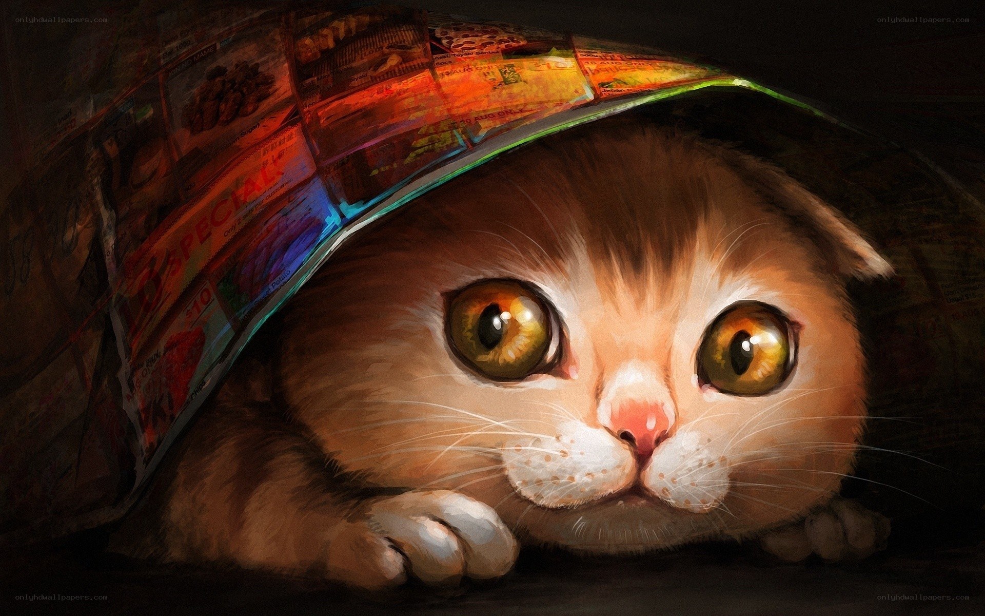 cat under newspaper cover