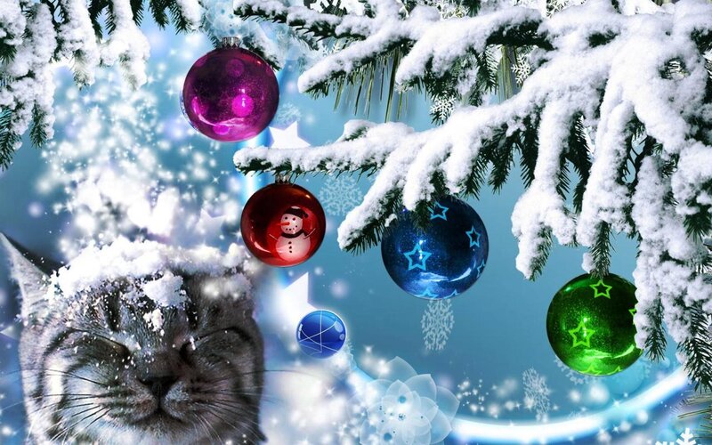 Cat under Snow-covered Tree — Blue