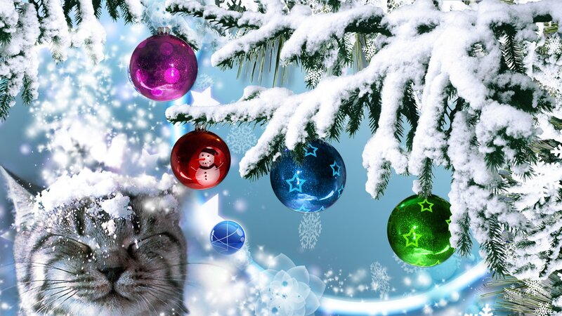 Cat under Snow-covered Tree