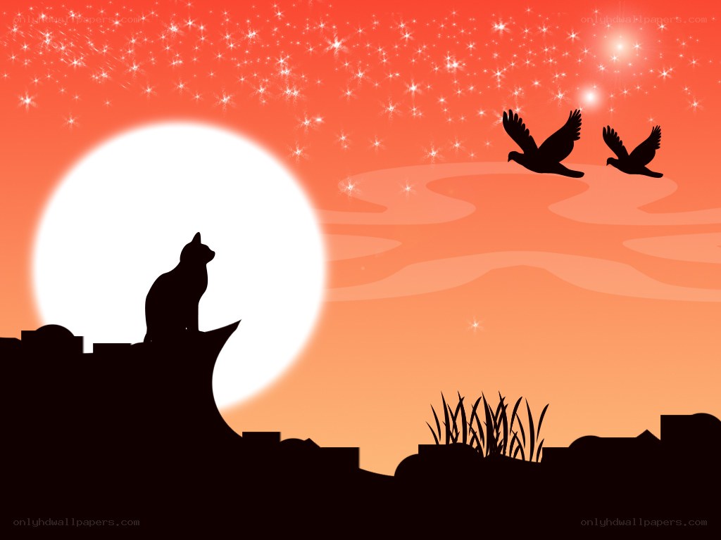 cat under starry sky