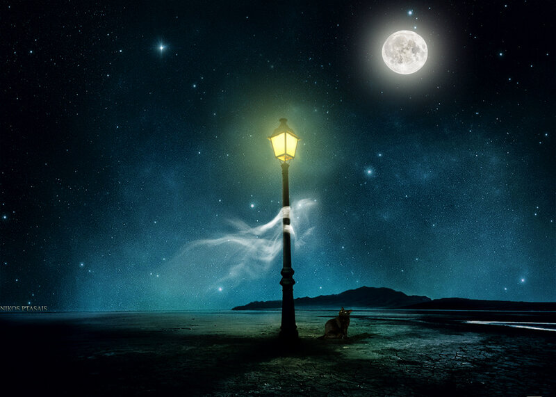 Cat under Streetlight