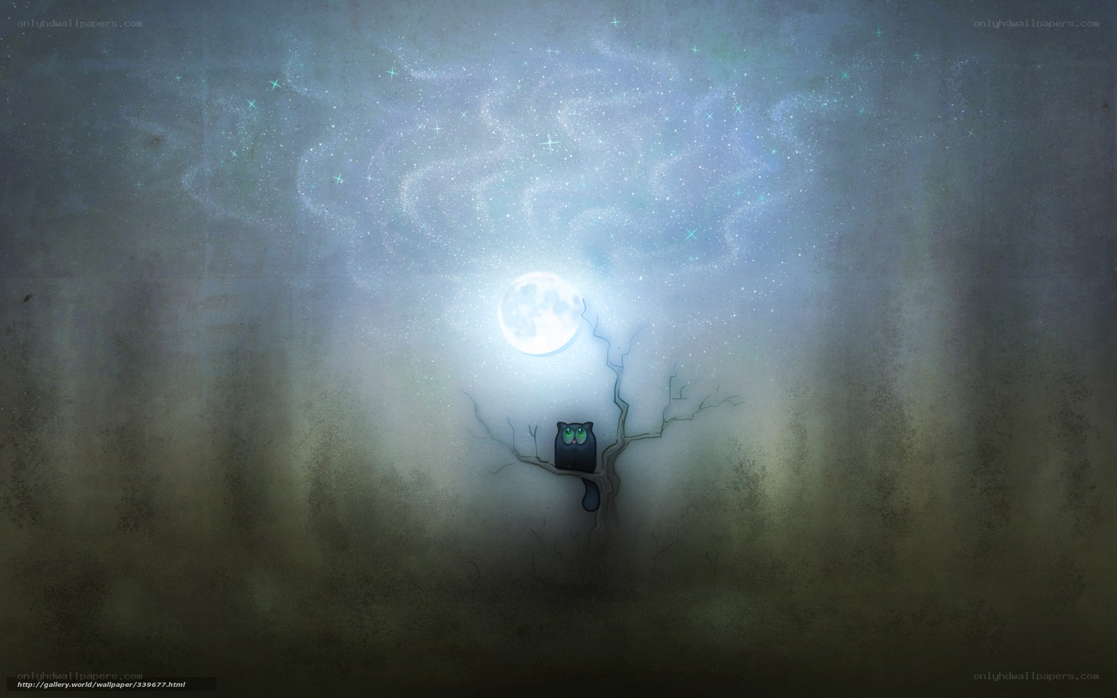 Cat under the moonlight