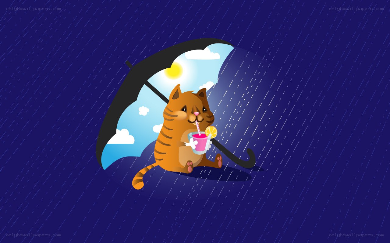 cat under umbrella in rain