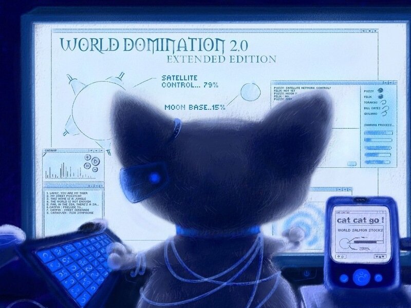 Cat Using Computer