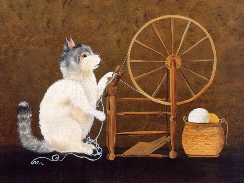 Cat Using Spinning Wheel